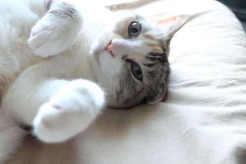 DSCF6693.JPG DSCF6693