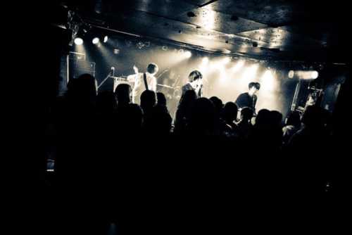 IMG_8311.JPG IMG 8311