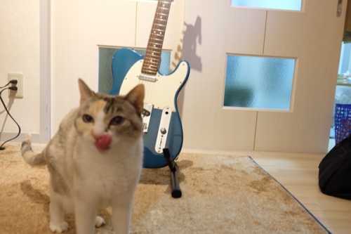 846C5CF8-8576-4B5E-9EFB-99696D1961D4-13700-0000038F66DDA221.JPG 846C5CF8 8576 4B5E 9EFB 99696D1961D4 13700 0000038F66DDA221