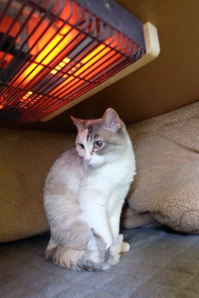 EA1BCC20-367D-444A-97E4-38444356B4D8-12688-0000034E064BEC4D 2.JPG EA1BCC20 367D 444A 97E4 38444356B4D8 12688 0000034E064BEC4D 2