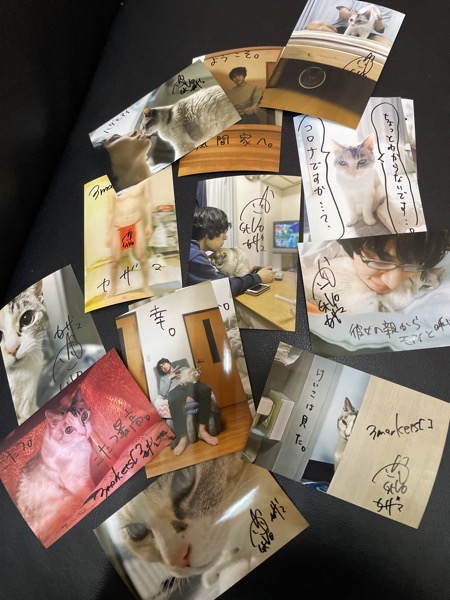 IMG_2327.jpg IMG 2327