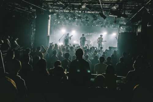 IMG_4113.JPG IMG 4113