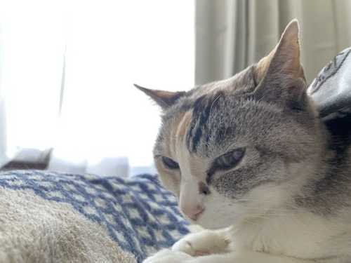 IMG_7928.JPG IMG 7928