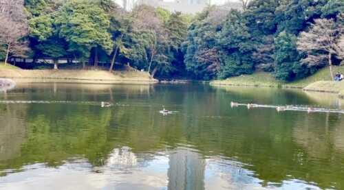 IMG_6302.jpg IMG 6302