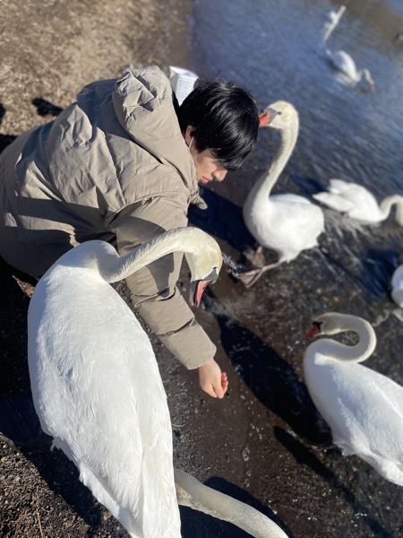 IMG_6318.jpg IMG 6318