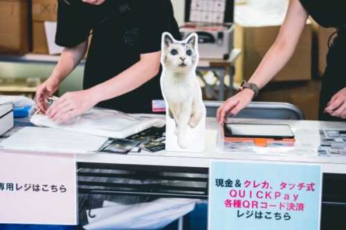 _DSC9233.jpg DSC9233